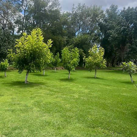 Cabanas Cumbres De Aguacatitla Huasca de Ocampo Esterno foto