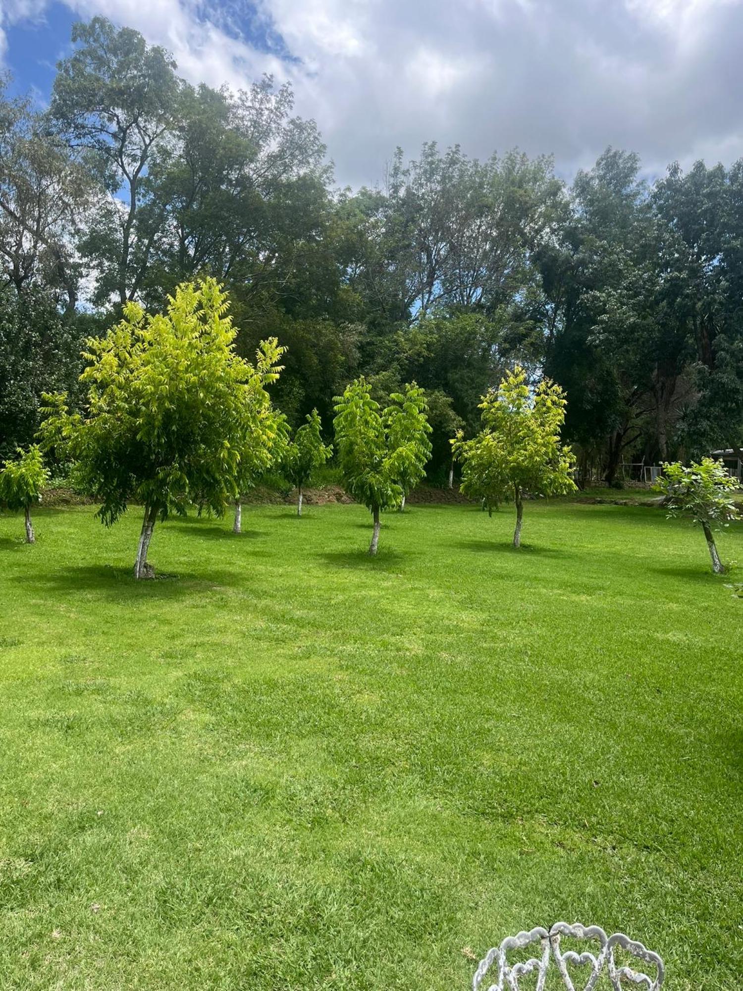 Cabanas Cumbres De Aguacatitla Huasca de Ocampo Esterno foto