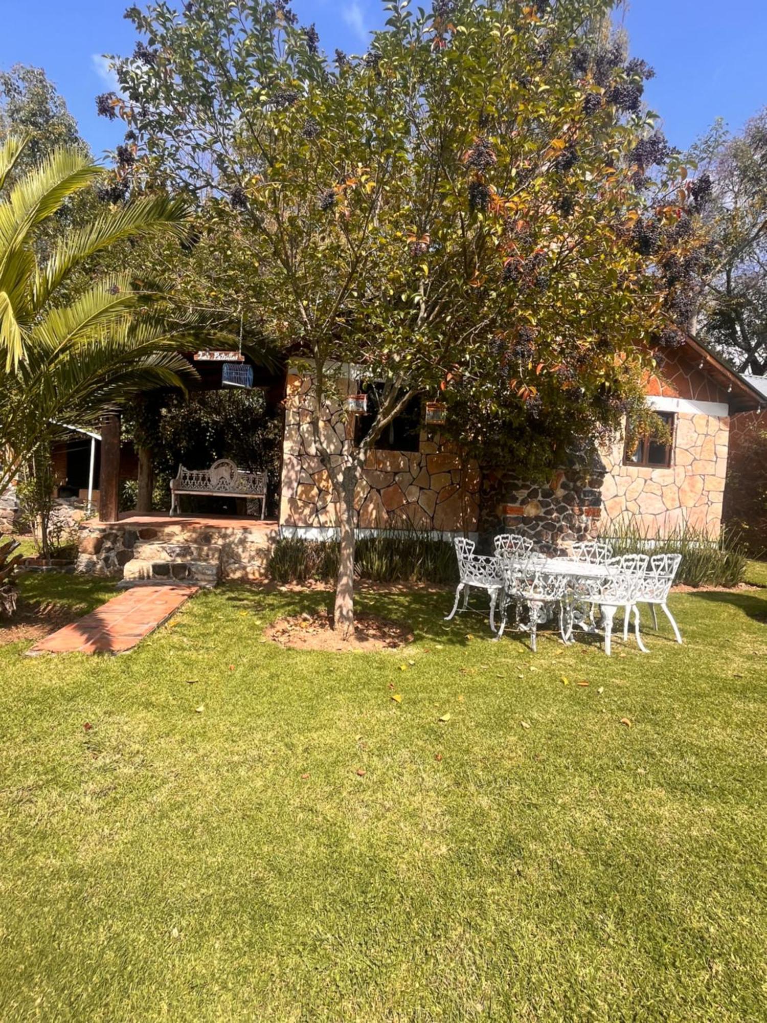 Cabanas Cumbres De Aguacatitla Huasca de Ocampo Esterno foto