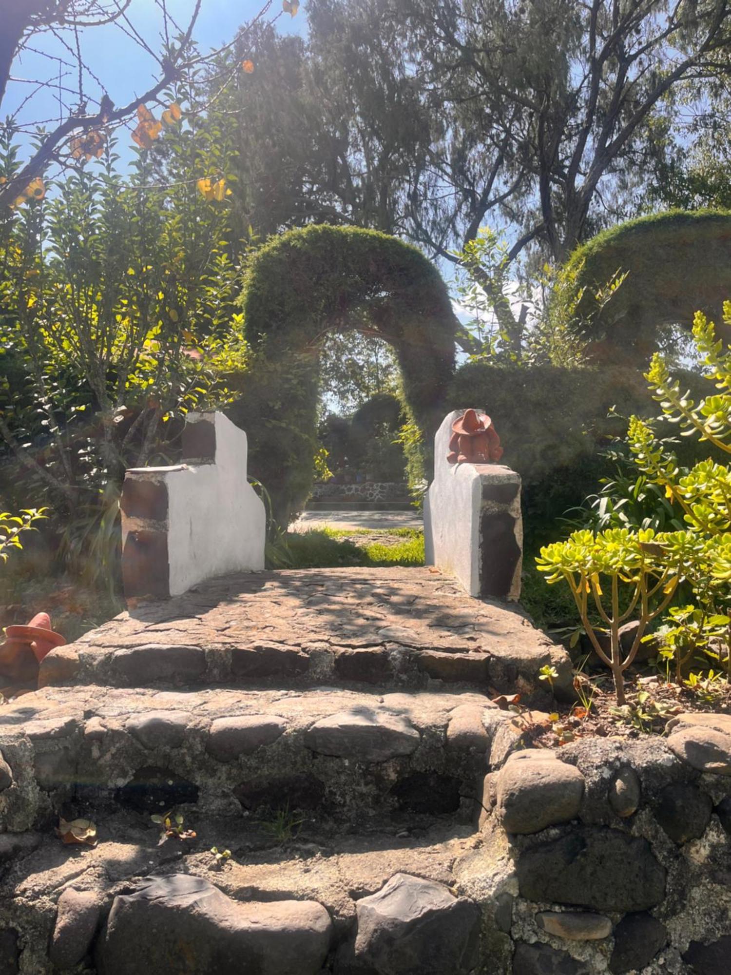 Cabanas Cumbres De Aguacatitla Huasca de Ocampo Esterno foto