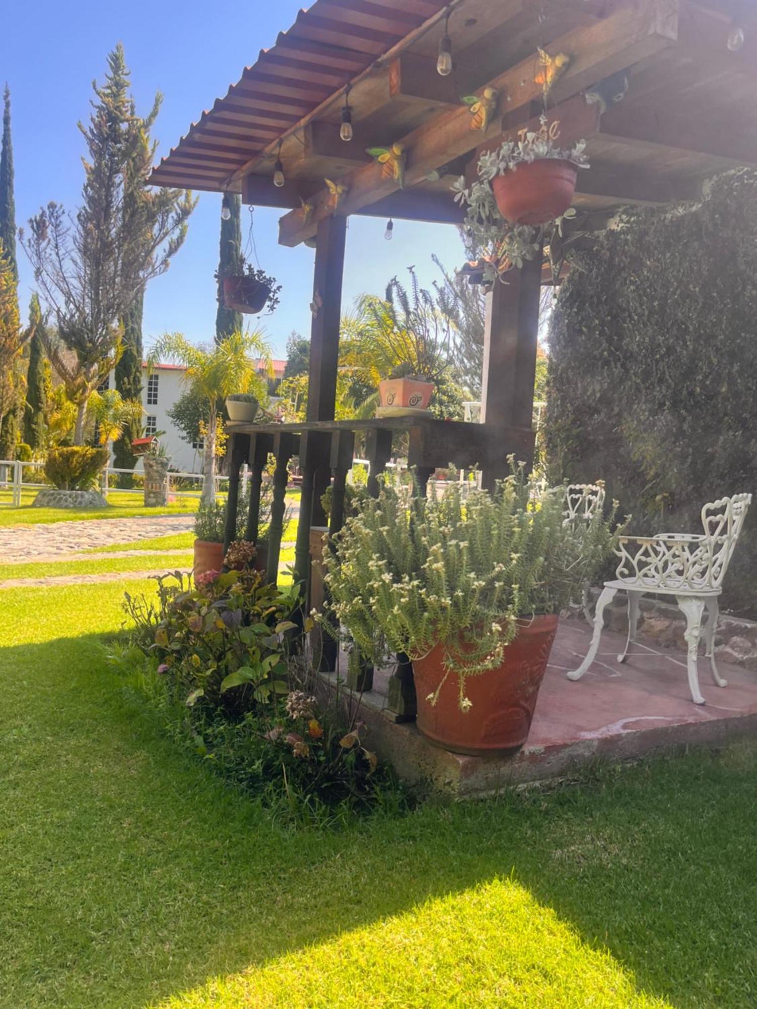 Cabanas Cumbres De Aguacatitla Huasca de Ocampo Esterno foto