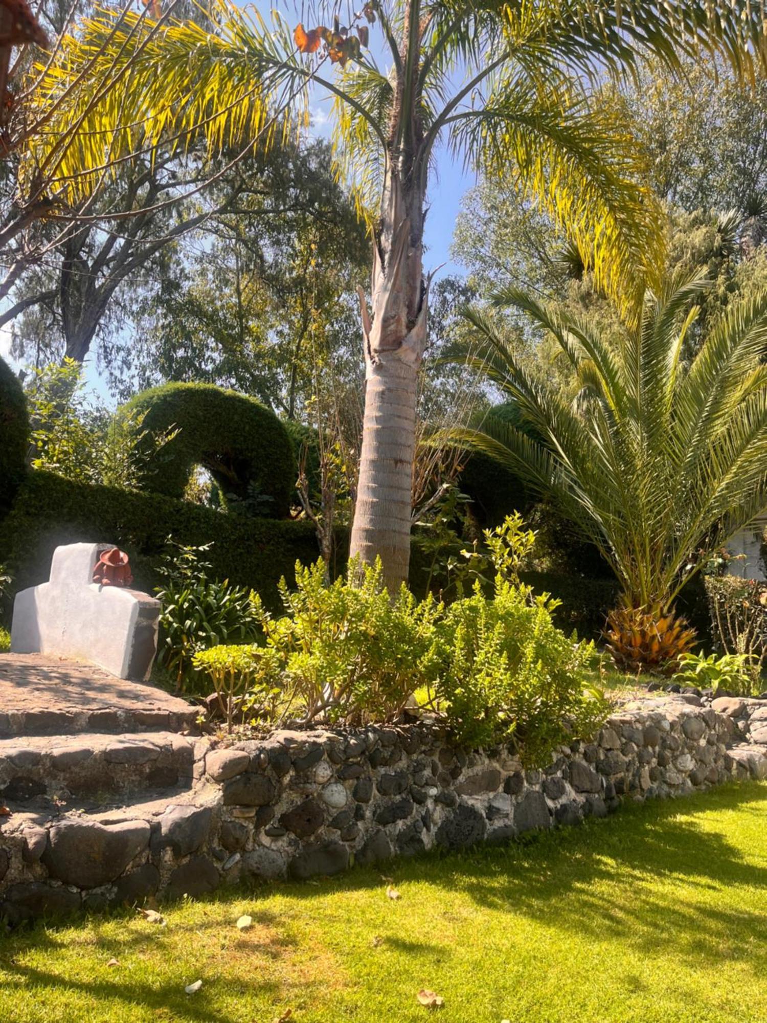 Cabanas Cumbres De Aguacatitla Huasca de Ocampo Esterno foto