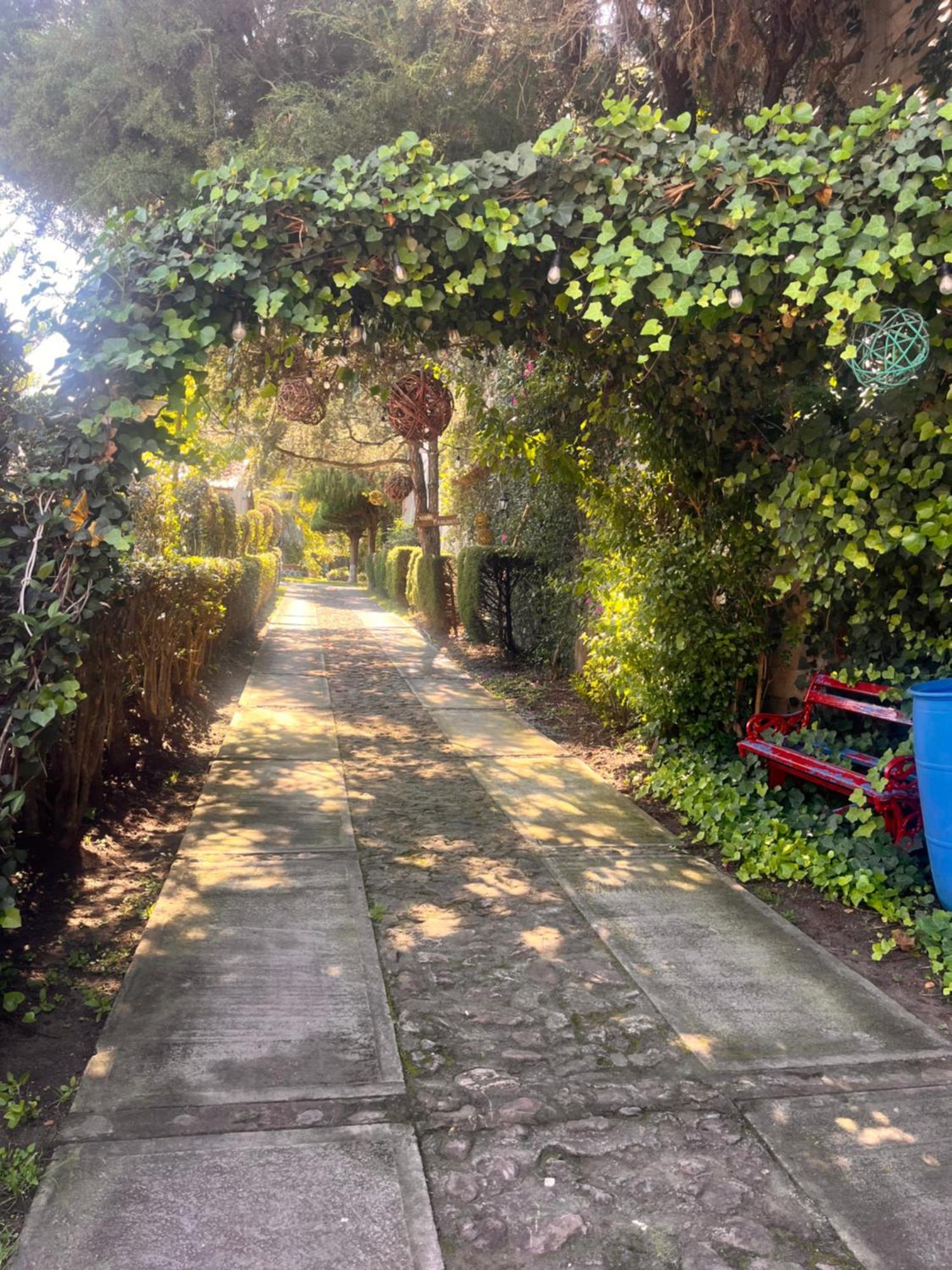 Cabanas Cumbres De Aguacatitla Huasca de Ocampo Esterno foto
