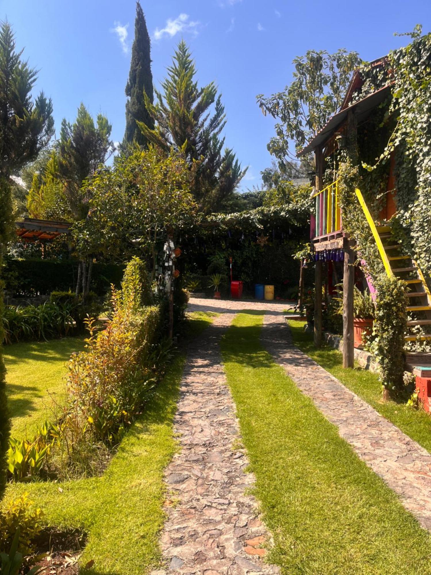 Cabanas Cumbres De Aguacatitla Huasca de Ocampo Esterno foto