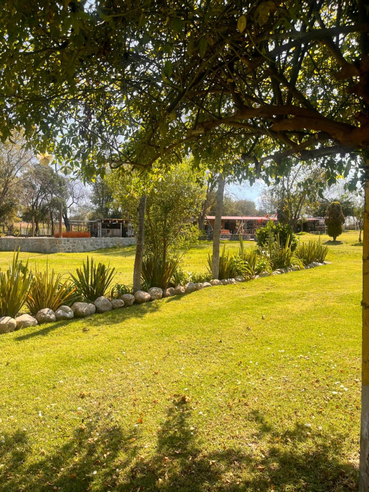 Cabanas Cumbres De Aguacatitla Huasca de Ocampo Esterno foto