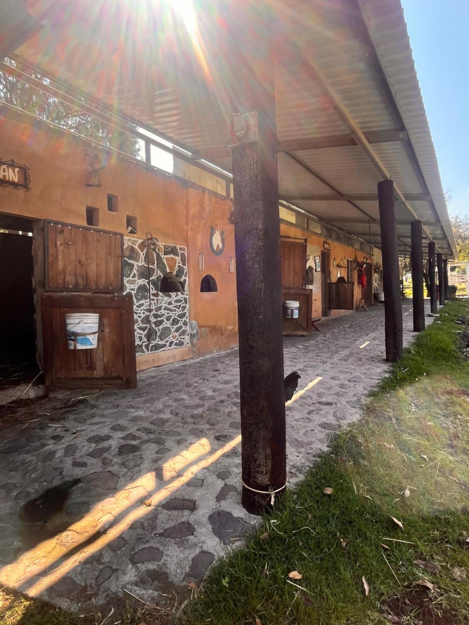 Cabanas Cumbres De Aguacatitla Huasca de Ocampo Esterno foto