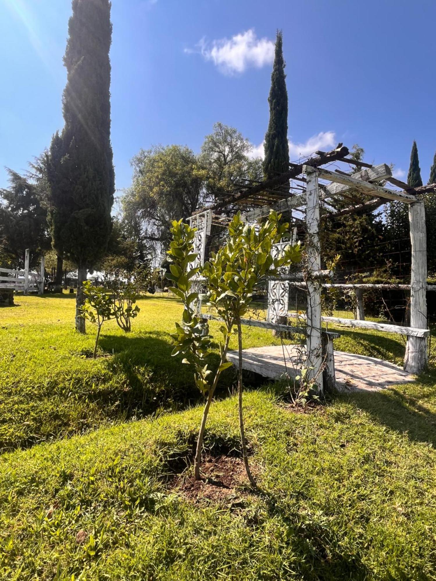 Cabanas Cumbres De Aguacatitla Huasca de Ocampo Esterno foto