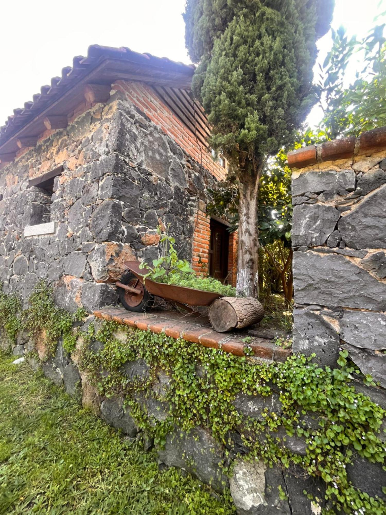 Cabanas Cumbres De Aguacatitla Huasca de Ocampo Esterno foto